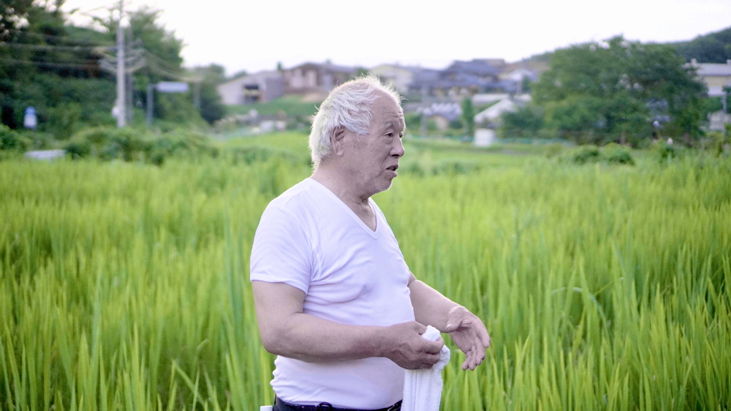 【福井県認証無農薬】越前まこもパウダー